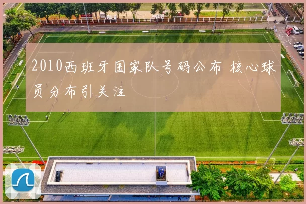 2010西班牙国家队号码公布 核心球员分布引关注