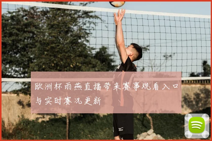 欧洲杯雨燕直播带来赛事观看入口与实时赛况更新